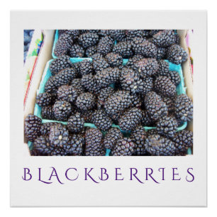 Blackberries Kitchen Art Poster voor thuisdeeg Perfect Poster