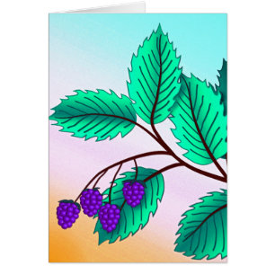 Blackberries op een tak