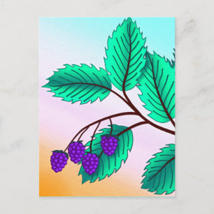 Blackberries op een tak briefkaart