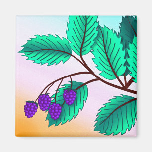 Blackberries op een tak magneet