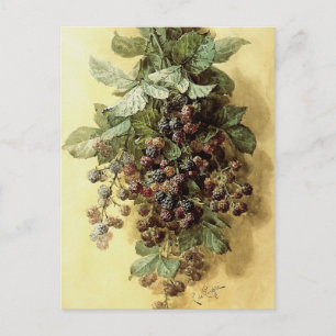 "Blackberries" van Paul de Longpré Briefkaart