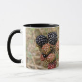 Blackberry Bonanza Mug (Gauche)
