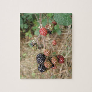 Blackberry Bonanza Puzzle Legpuzzel
