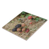 Blackberry Bonanza Tile Tegeltje (Zijkant)