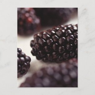 Blackberry Closeup Briefkaart