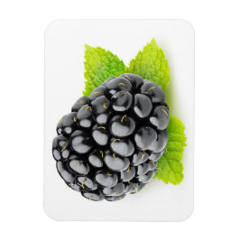 Blackberry en munt magneet