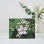 Blackberry Flowers Briefkaart (Staand voorkant)