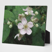 Blackberry Flowers Plaque Fotoplaat (Zijkant)