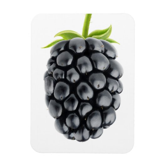 Blackberry Magneet (Verticaal)