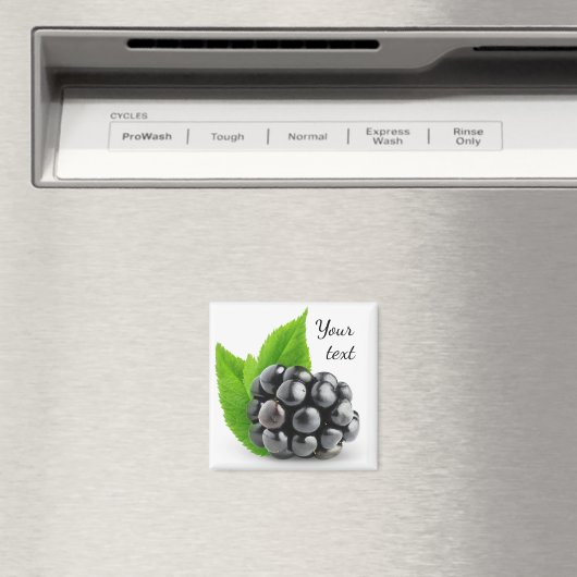 Blackberry Magneet (Insitu (Vaatwasser))