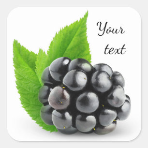 Blackberry Vierkante Sticker