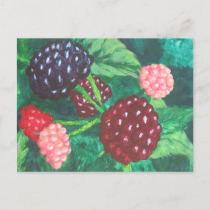 Blackberry's van alle leeftijden rijpen op de wijn briefkaart