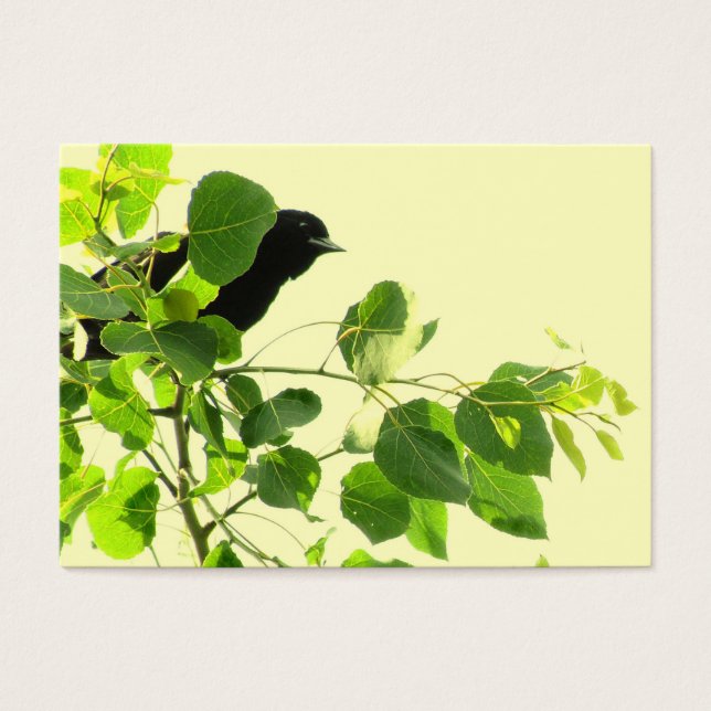 Blackbird ATC (Devant)