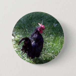 Blackbird de Zwarte Haan Ronde Button 5,7 Cm