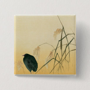 Blackbird, Edo Period Vierkante Button 5,1 Cm