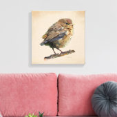 Blackbird Fledgling Canvas Afdruk (Insitu (Woonkamer))