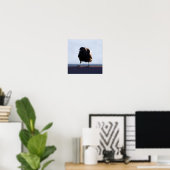 Blackbird Foto Poster (Thuiskantoor)