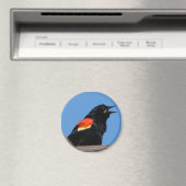 Blackbird Magnet (In Situ (Lave-vaisselle))