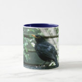 Blackbird Mok #2 (Midden)