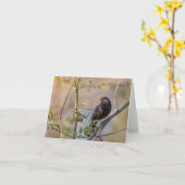 Blackbird Natuur Foto Kaart (Gele Bloem)