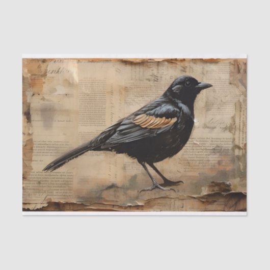  Blackbird-ontkoppeling Gothic Blackbird Tissuepapier (Voorkant)