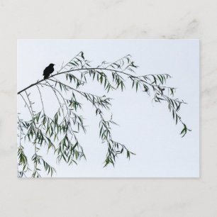 Blackbird op Willow Briefkaart