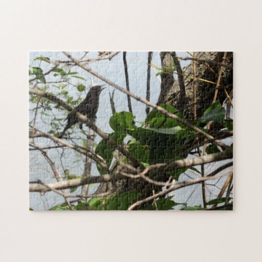 Blackbird Singer Puzzle Puzzle (Horizontal)
