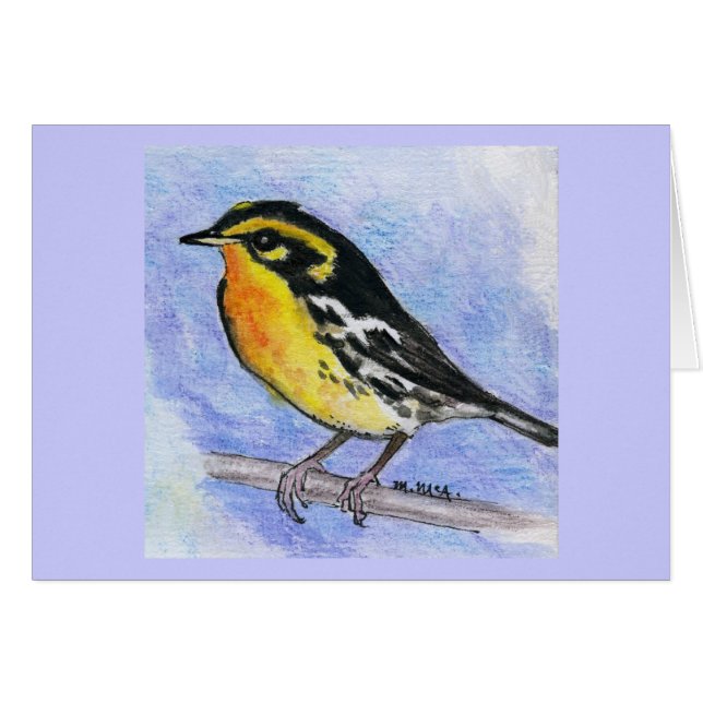 Blackburnian Warbler (Voorkant Horizontaal)