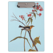 Blackburnian Warbler Audubon Songbird Art Klembord (Voorkant)