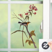 Blackburnian Warbler  Audubon Songbird Art Raamsticker (Huis)