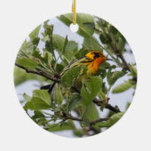 Blackburnian Warbler Keramisch Ornament (Achterkant)