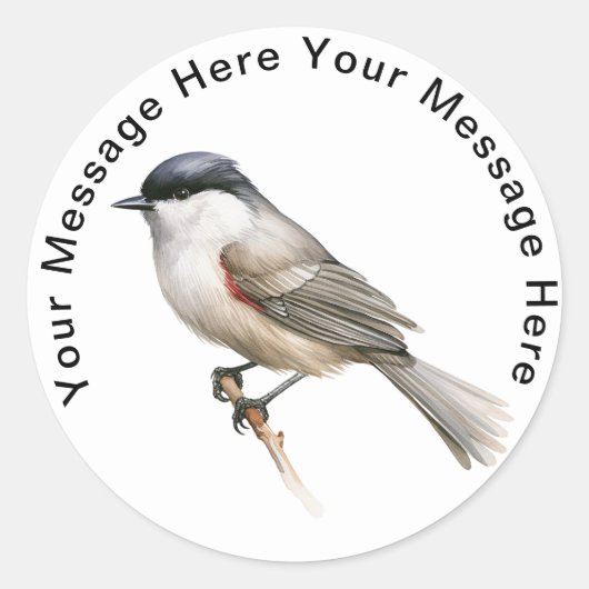 Blackcap Ronde Sticker (Voorkant)