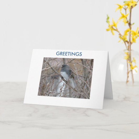 Blackeyed Junco, GROETEN, het Denken aan u Kaart (Gele Bloem)