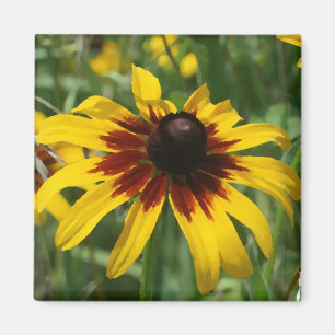 Blackeyed Susan Magnet Magneet