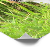 Blackie op waarschuwing poster (Hoek)