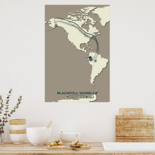 Blackpoll Warbler-migratiekaart – minimalistisch Poster