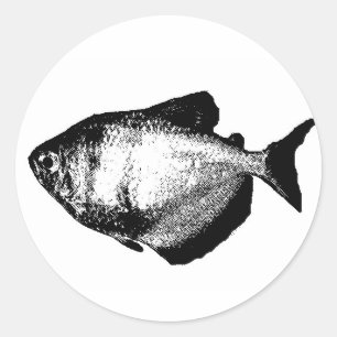 Blackskirt Tetra Ronde Sticker