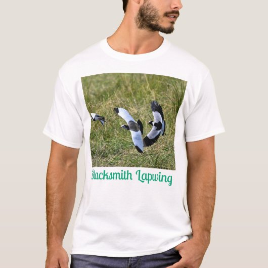 Blacksmith Lapwing - Snelle feiten: T-shirt (Voorkant)