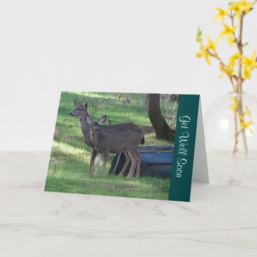 Blacktail Deer s'en sortent bien bientôt Carte de (Fleur jaune)