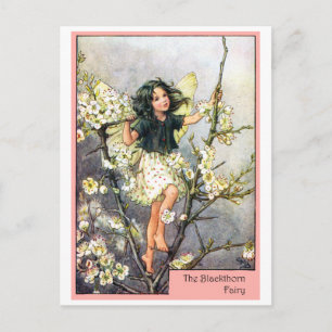 Blackthorn Fairy Briefkaart