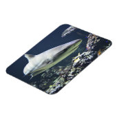 Blacktip Shark zwemmen in koraal Magneet (Linkerzijde)