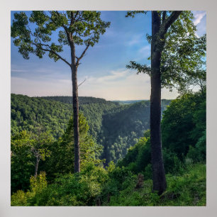 Blackwater Canyon, Blackwater Herfsten State Park, Poster