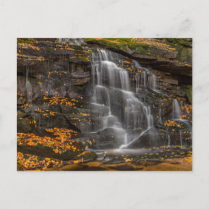 Blackwater Falls State Park Briefkaart