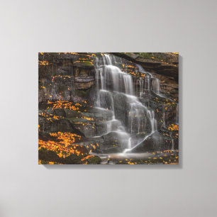 Blackwater Falls State Park Canvas Afdruk