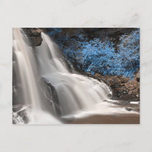 Blackwater Herfsten State Park West Virginia Veren Briefkaart