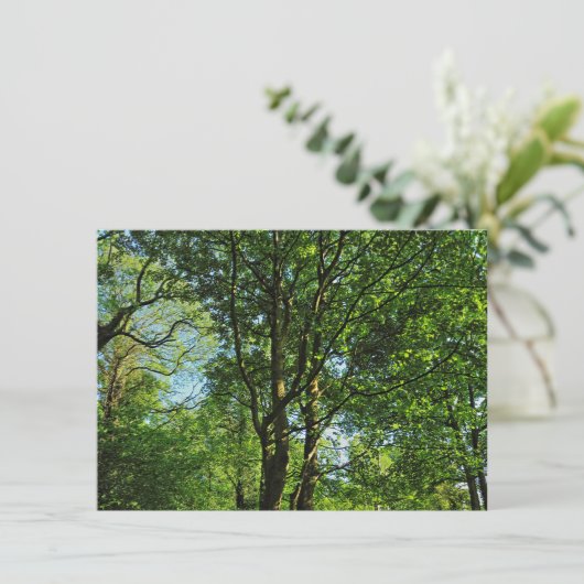 Blackweir Bossen, Bute Park, Cardiff Wales Kaart (Staand voorkant)