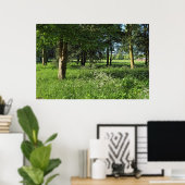 Blackweir Bossen, Bute Park, Cardiff Wales Poster (Thuiskantoor)