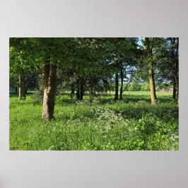 Blackweir Bossen, Bute Park, Cardiff Wales Poster