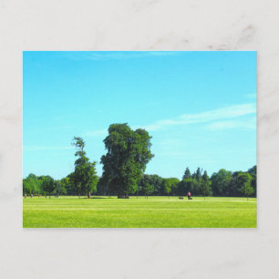 Blackweir Fields. Bute Park, Cardiff, Wales. Briefkaart