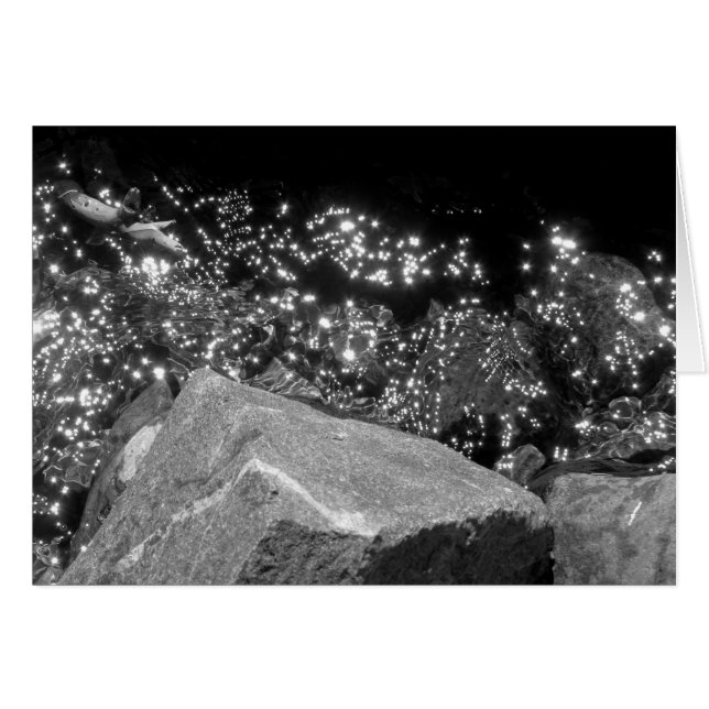 Blackwood Canyon, Lake Tahoe (Voorkant Horizontaal)